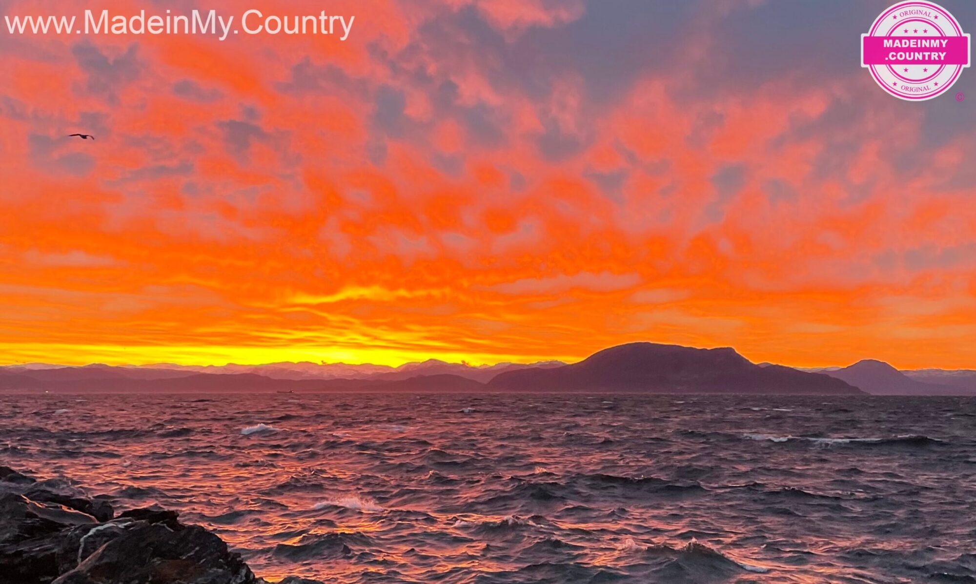 Welcome to MadeinMycountry! Celebrate and Support Local Culture with MadeinMycountry MadeinMycountry is a global platform that celebrates and supports local history, culture, art, and nature conservation efforts.